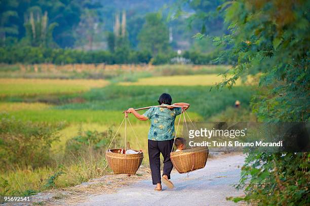 china, guangxi province, guilin - guilin stock pictures, royalty-free photos & images