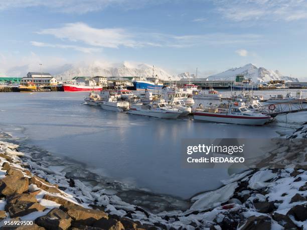 The frozen harbour of the small town Hoefn during winter. In the background the mountains of Stokksnes. Europe. Northern europe. Iceland. February.