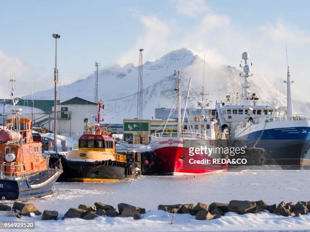 The frozen harbour of the small town Hoefn during winter. In the background the mountains of Stokksnes. Europe. Northern europe. Iceland. February.