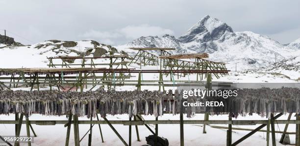Drying Racks For Fish 689 Fish Drying Racks Stock Photos, High-Res Pictures, and Images ...