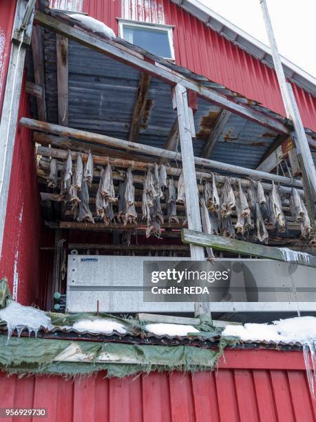 Drying Racks For Fish 689 Fish Drying Racks Stock Photos, High-Res Pictures, and Images ...