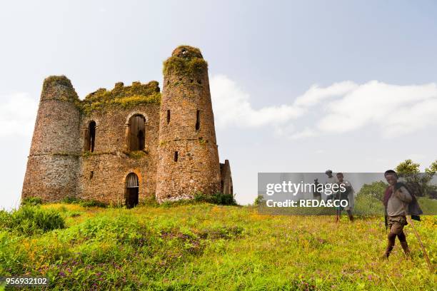 Guzara Castle between Gonder and Lake Tana in Ethiopia. Ruin with wildflowers especially the yellow Mekel flower. Guzara belongs to a group of...