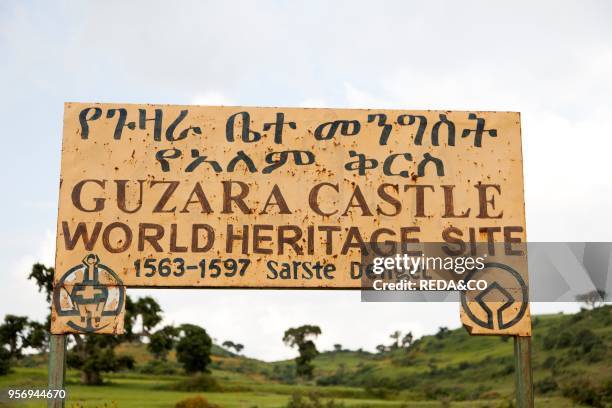 Guzara Castle between Gonder and Lake Tana in Ethiopia. Ruin with wildflowers especially the yellow Mekel flower. Guzara belongs to a group of...