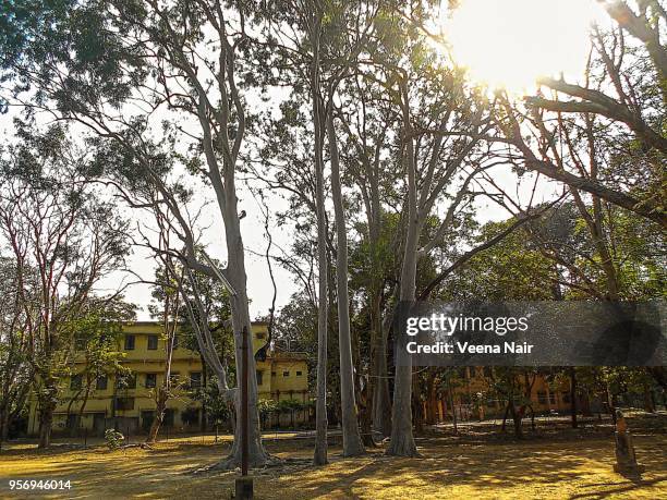 shantiniketan complex/kolkata - santiniketan stock pictures, royalty-free photos & images