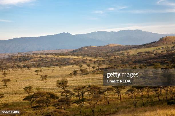 The Crater Area in Queen Elizabeth National Park with view of the Rwenzori Mountains. Kasese. Uganda. East Africa. Africa. February.
