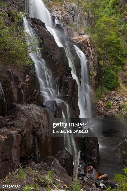 Landscape in the Grampians National Park. Australia. The MacKenzie Falls or migunang wirab. One of the major tourist attractions in the Grampians....