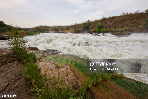 The Murchison Falls of the river nile in Uganda. Africa. East AFrica. Uganda. January.