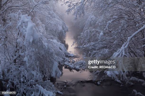 Creek Kleine Ach in the Lermooser Moos wetlands after sunset during winter with deep snow. Europe. Austria. Tyrol. Ehrwald.