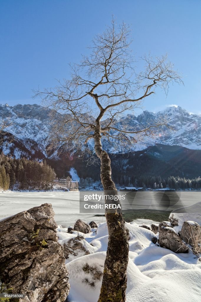 Lake Eibsee during winter with the Wetterstein mountain range as backdrop near Garmisch-Partenkirchen in the Werdenfelser Land (werdenfels region)