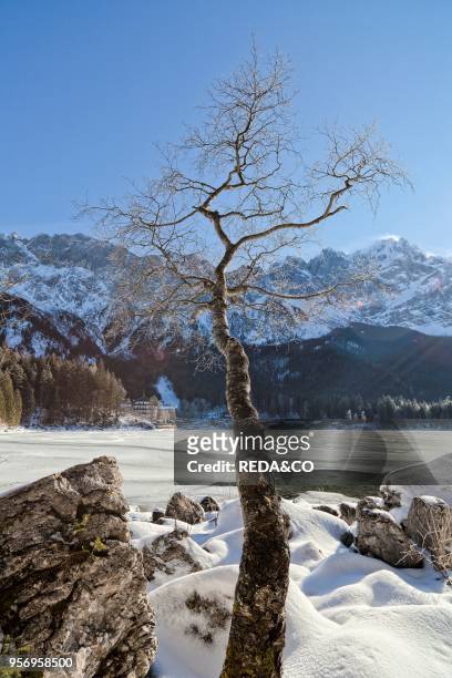 Lake Eibsee during winter with the Wetterstein mountain range as backdrop near Garmisch-Partenkirchen in the Werdenfelser Land . Bavaria. Germany....