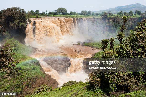 The waterfalls of the Blue Nile called Tis Isat in Ethiopia towards the end of the rainy season. Africa. East Africa. Ethiopia. September 2010.