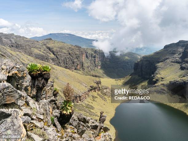 Mount Kenya national park in the highlands of central Kenya. A UNESCO world heritage site. The central part of Mount Kenya with lake Michaelson in...