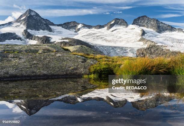 Valley head of valley Obersulzbachtal in the NP Hohe Tauern. The Peaks of Mt. Grosser Geiger and Mt. Maurerkeeskopf with a perfect reflection in a...