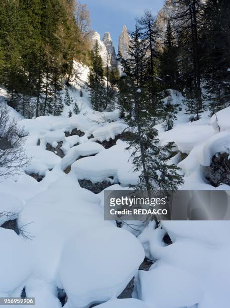 Rosengarten also called Catinaccio mountain range in the Dolomites of South Tyrol in winter and deep snow. The peaks the famous Vajolet Towers and...