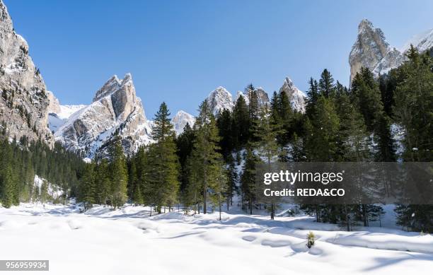 Rosengarten also called Catinaccio mountain range in the Dolomites of South Tyrol in winter. The Tschamin Valley also called Ciares in deep snow and...