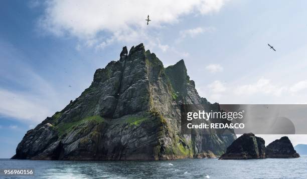 The islands of St Kilda archipelago in Scotland. Island of Boreray having the largest northern gannet colonies worldwide. It is one of the few places...