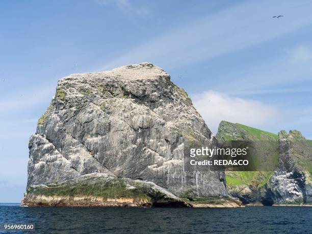 The islands of St Kilda archipelago in Scotland. Island of Boreray and Stac Lee having the largest northern gannet colonies worldwide. It is one of...