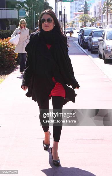 Bethenny Frankel promotes her book "Skinnygirl Dish" in South Beach while handing out Pepperidge Farm Deli Flats on January 11, 2010 in Miami Beach,...