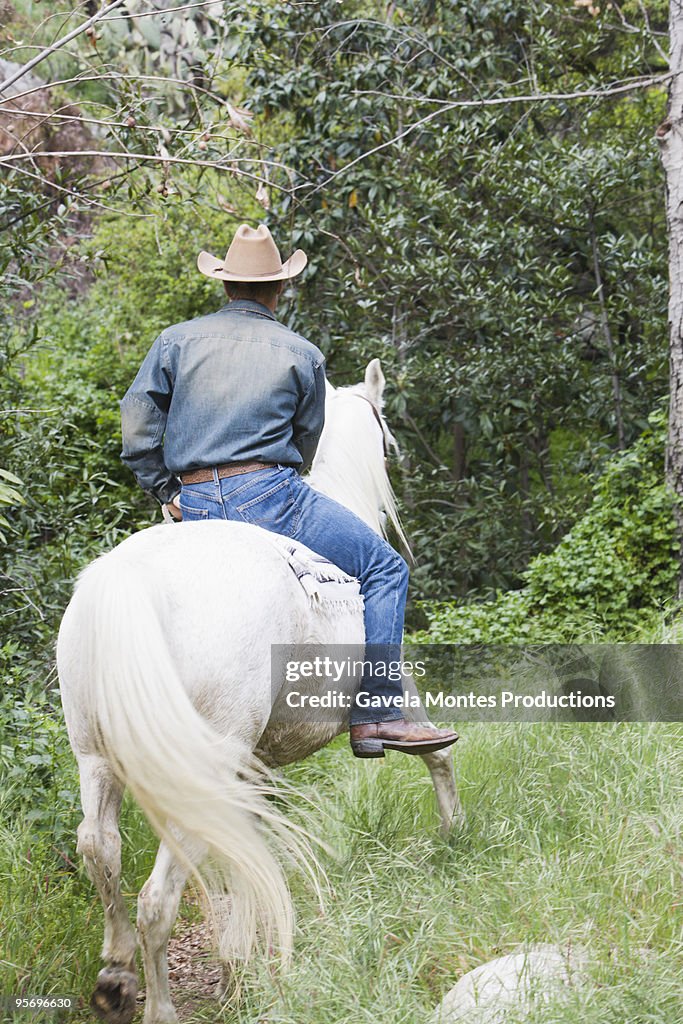 Cowboy on horse