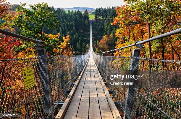 suspension footbridge geierlay (hangeseilbrucke geierlay) near mosdorf, germany - rope length stock pictures, royalty-free photos & images