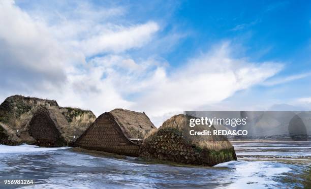 Open air museum of Glaumbaer in Winter. Traditional houses with roof buildt of turf and peat. Europe. Northern Europe. Iceland. February.