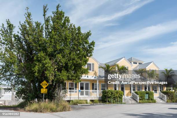 new houses with palm trees - tampa neighborhood stock pictures, royalty-free photos & images