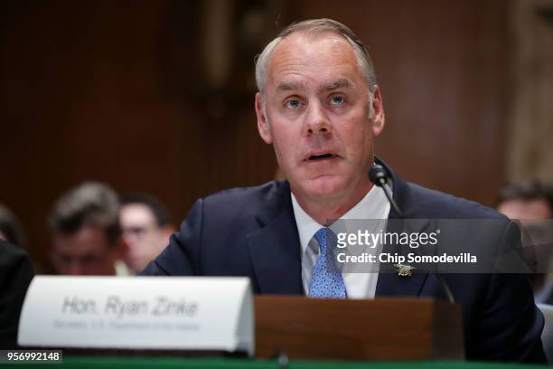 Interior Secretary Ryan Zinke testifies beofre the Senate Appropriations Committee's Interior, Environment, and Related Agencies Subcommittee in the...