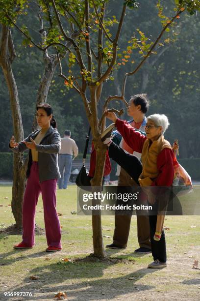 Fuxing Park in Shanghai. The Fuxing Park is located in the former French Concession of Shanghai, in Luwan District near Nanchang Road. Early morning,...