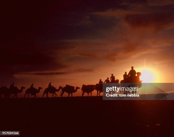 Low-angle view of a caravan of camels, silhouetted against the sun, on the Silk Road in the Tarafan Depression, Xinjiang province, China, April 1980.