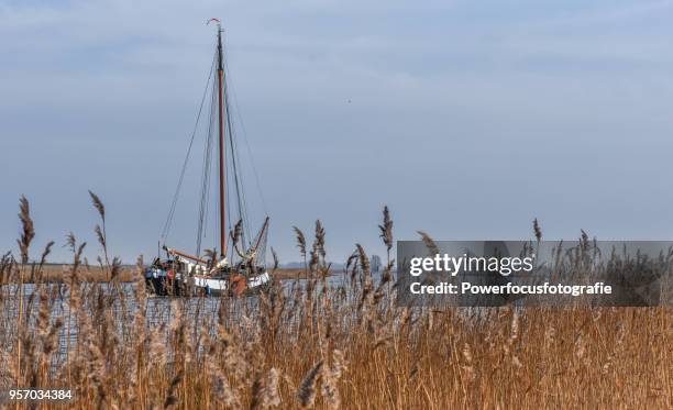 sailing vessel - powerfocusfotografie stock pictures, royalty-free photos & images