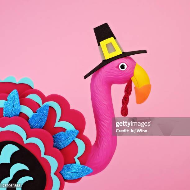 flamingo in a turkey costume - pilgrim costume stock pictures, royalty-free photos & images