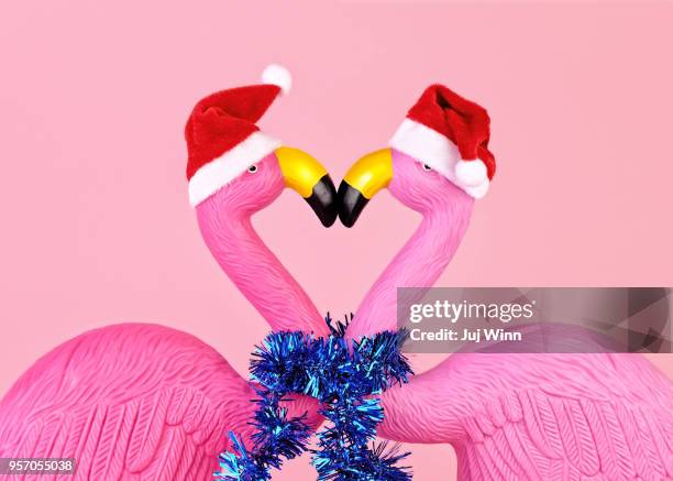 flamingos in santa hats - kitsch stock-fotos und bilder