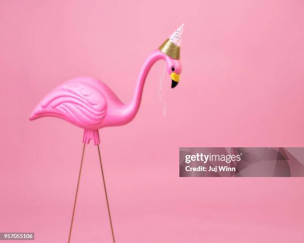 pink flamingo wearing party hat - happy birthday vintage fotografías e imágenes de stock