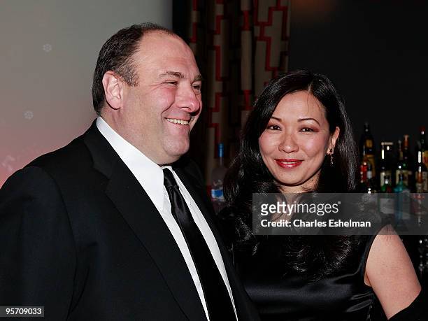 Actor James Gandolfini and girlfriend Deborah Lin attend the 2009 New York Film Critic's Circle Awards at Crimson on January 11, 2010 in New York...
