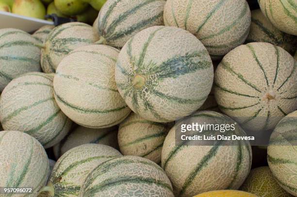 watermelons for sale - melão imagens e fotografias de stock