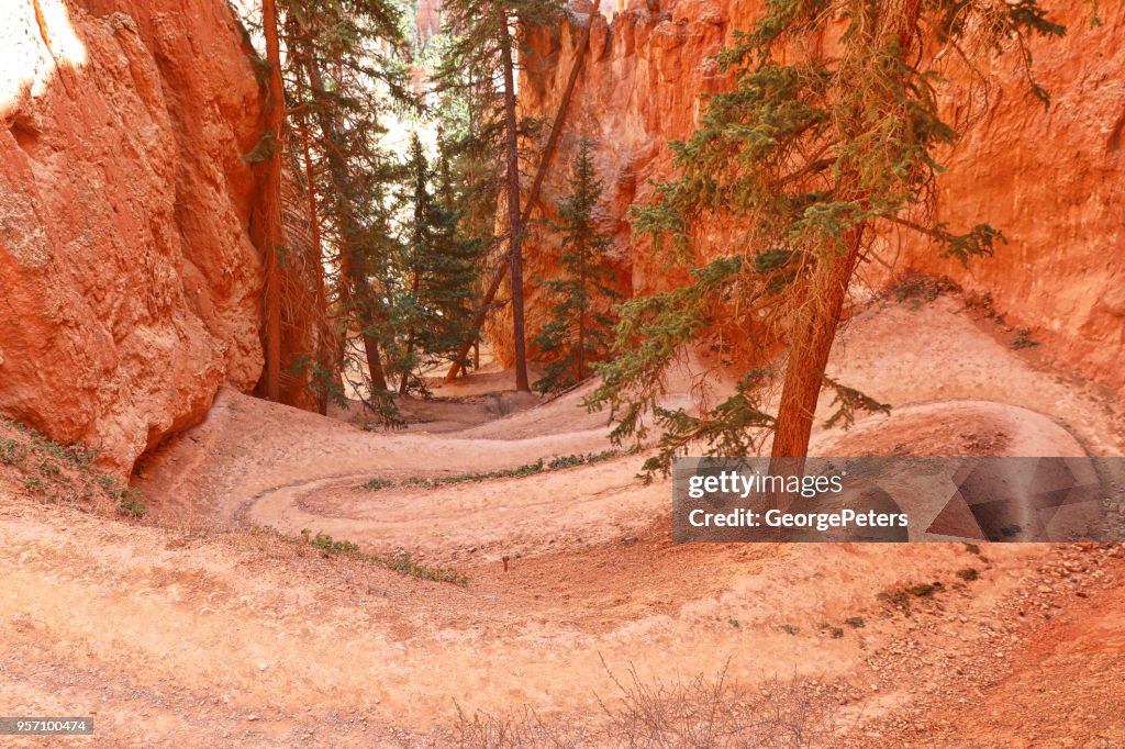 Bryce Canyon National Park. Switchbacks on Peekaboo Trail