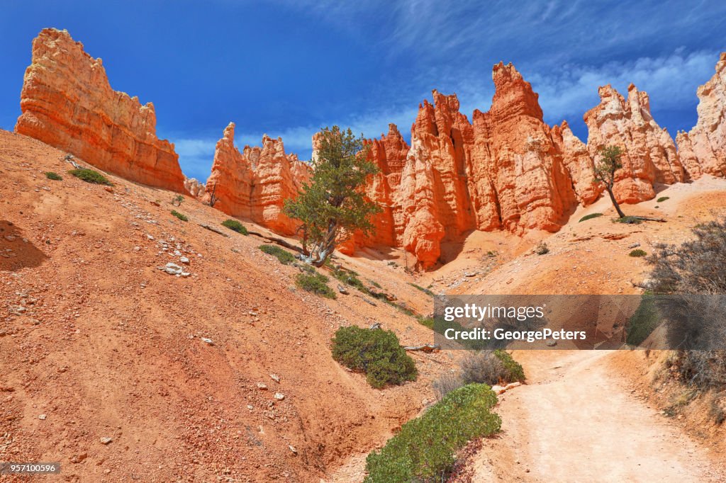 View of hoodoos. Bryce Canyon National Park. Peekaboo Trail