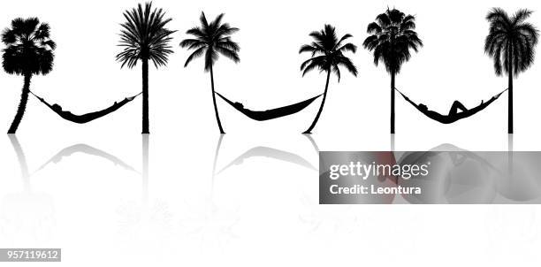 hängematten - hammock-between-palm-trees stock-grafiken, -clipart, -cartoons und -symbole