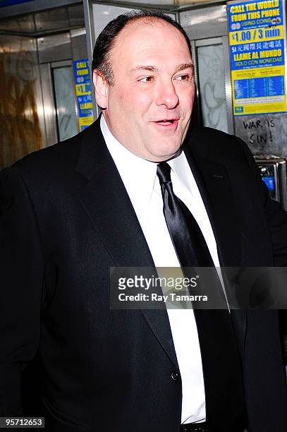Actor James Gandolfini attends the 2009 New York Film Critic's Circle Awards at Crimson on January 11, 2010 in New York City.