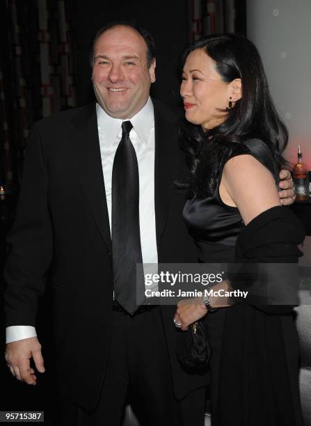 James Gandolfini and Deborah Lin attend the 2009 New York Film Critic's Circle Awards at Crimson on January 11, 2010 in New York City.