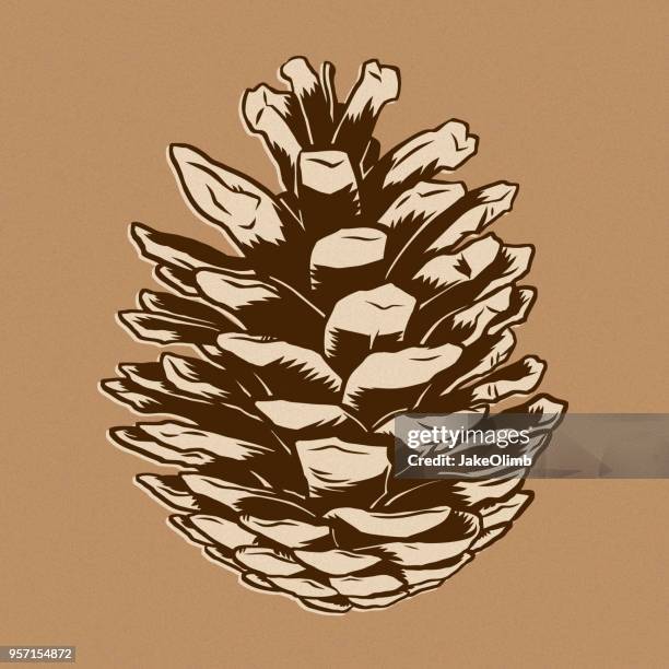 pine cone hand drawn - pine cone stock illustrations