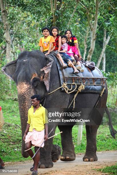 Indian tourist family riding on the back of an elephant in Kumily on December 30, 2009 in Kumily near Trivandrum, Kerala, India.