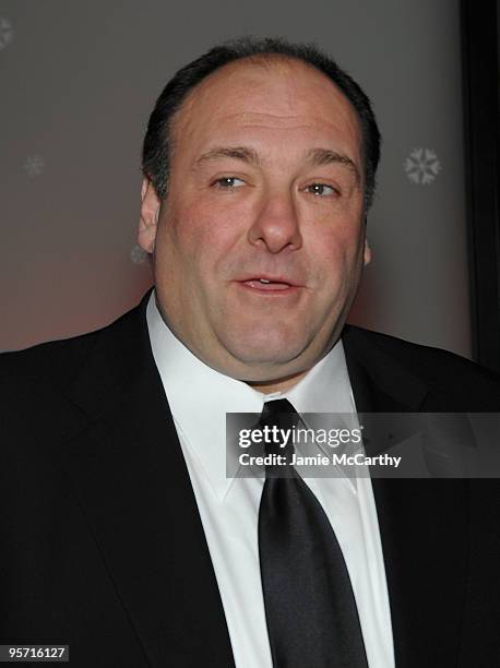 James Gandolfini attends the 2009 New York Film Critic's Circle Awards at Crimson on January 11, 2010 in New York City.