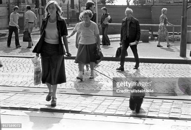 Passanten überqueren die Schönhauser Allee im Berliner Stadtbezirk Prenzlauer Berg, aufgenommen 1976/77. Einer jungen Frau mit Pudel folgen zwei...