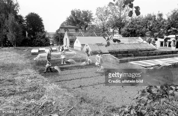 Kinder wässern selbstbepflanzte Beete in einem Schulgarten der Station Junger Techniker und Naturforscher in Flöha, aufgenommen im Juni 1986. Die...