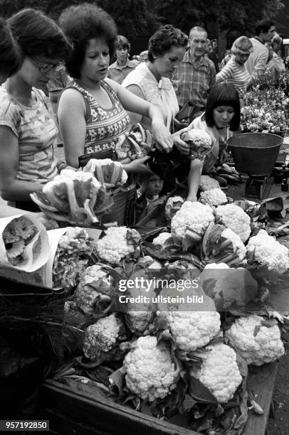 Großer Andrang herrscht an den Ständen für Gemüse und Blumen auf einem Bauernmarkt in Cottbus, aufgenommen im August 1978. An diesem Tag ist frisch...