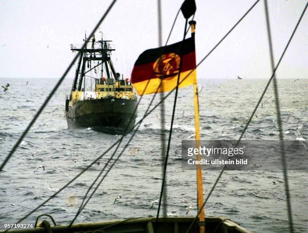 Rostock / Fischfang / Hochseefischerei / Februar 1977 / Ein Zubringer-Trawler hat zur Steert-Übergabe seine Position hinter dem Fabrik-Mutterschiffes...