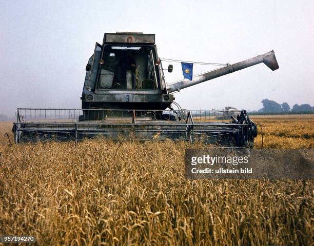 Studentensommer - Geschmückt mit einer FDJ-Fahne zieht ein Mähdrescher vom Typ E 512 seine Bahnen durch die erntereifen Getreidefelder im Bezirk...