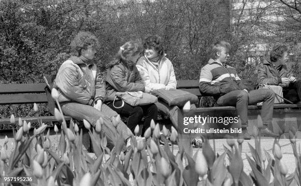 Passanten erholen sich in einer Parkanlage am Brühl Boulevard in Karl-Marx-Stadt, aufgenommen 1985. Die in den 70er Jahren geschaffene Fußgängerzone...