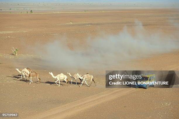 Algerian Mohamed Asloun drives his Renault Kangoo during the 9th stage Tabenkrout - Tenadi, Mauritania, of the second edition of the Africa Eco Race,...